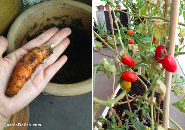 Edible Balcony in Kuala Lumpur