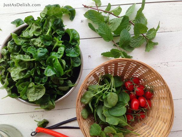 Edible Balcony in Kuala Lumpur