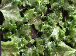 Spicy Kale Chips